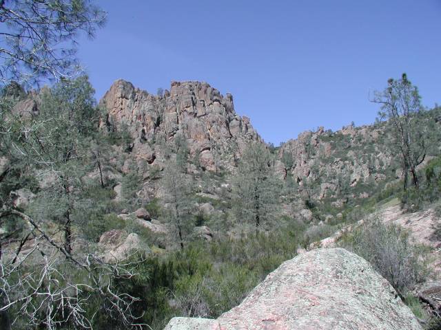 Original image