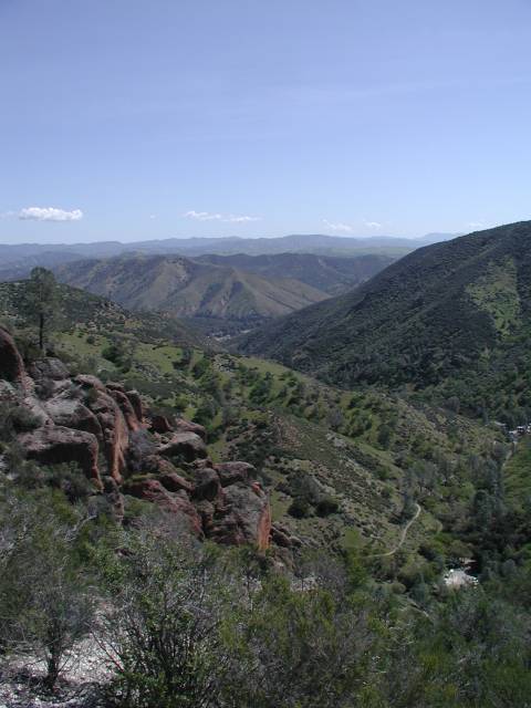 Original image