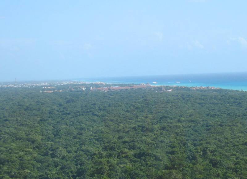 Original image