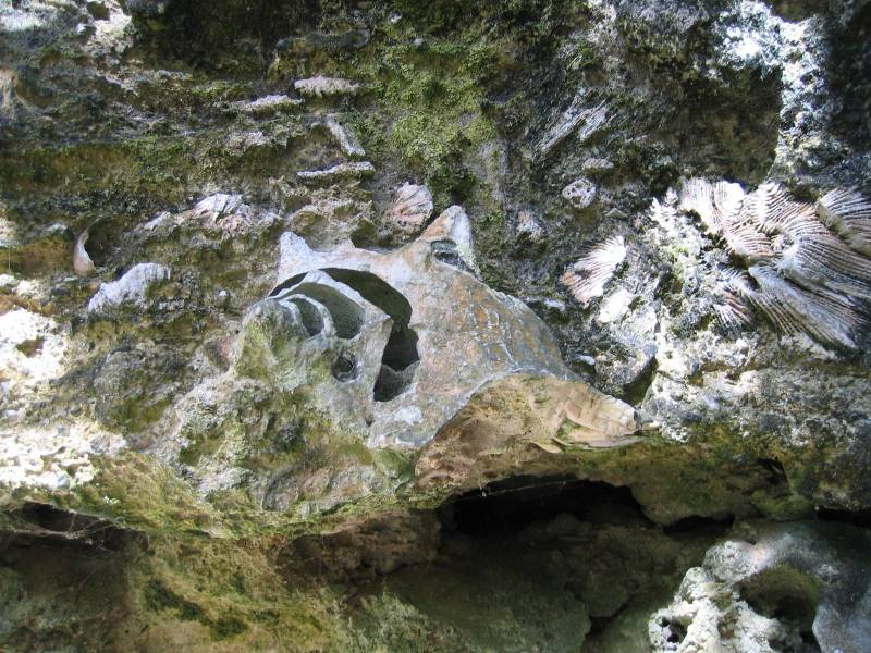 Original image